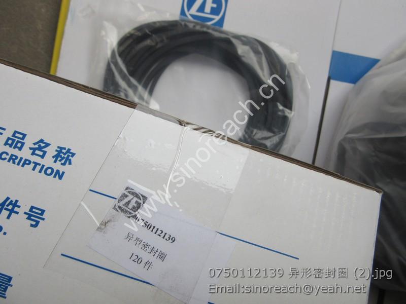 0750112139 异形密封圈 (2)