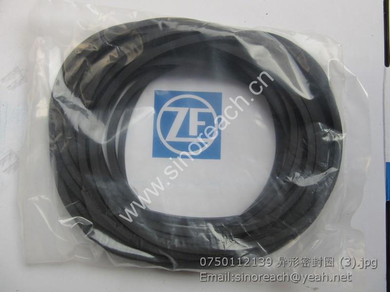 0750112139 异形密封圈 (3)
