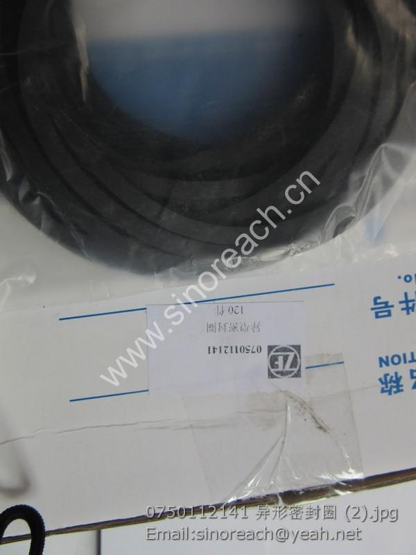 0750112141 异形密封圈 (2)