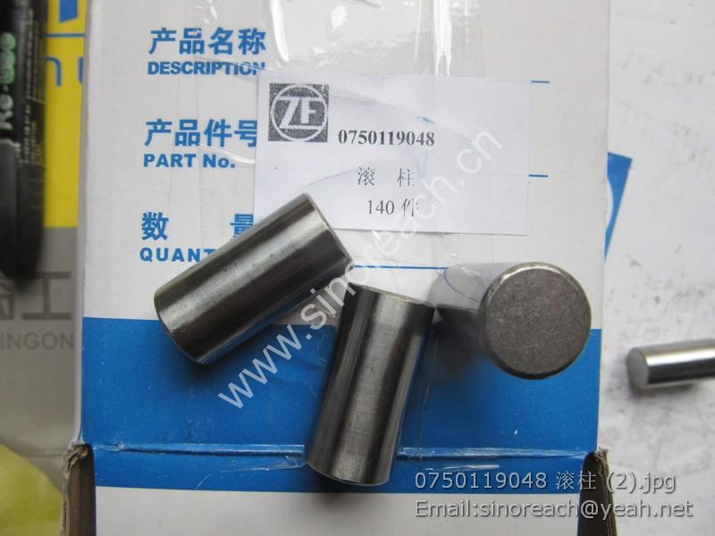 0750119048 滚柱 (2)