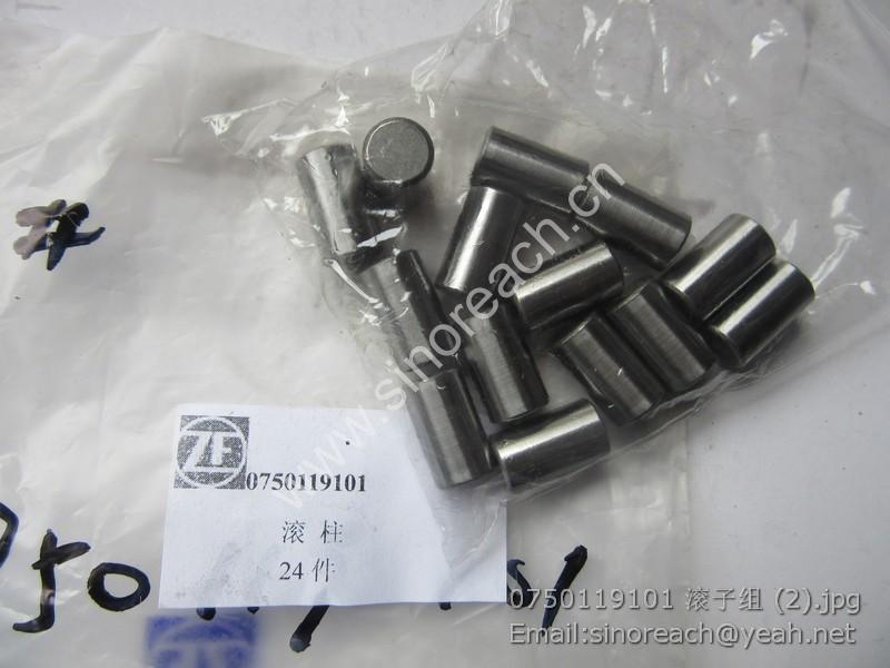 0750119101 滚子组 (2)