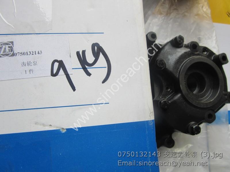 0750132143 变速齿轮泵 (3)