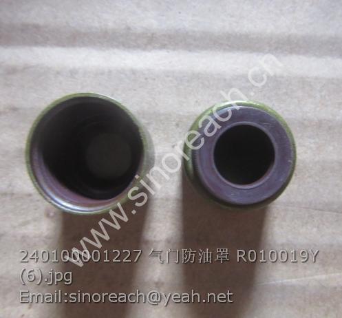 240100001227 气门防油罩 R010019Y (6)