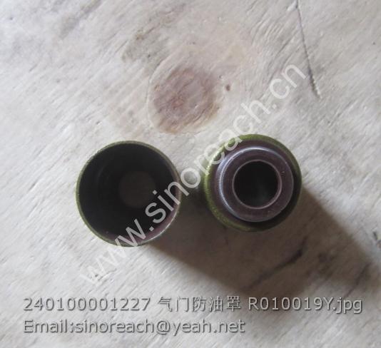 240100001227 气门防油罩 R010019Y
