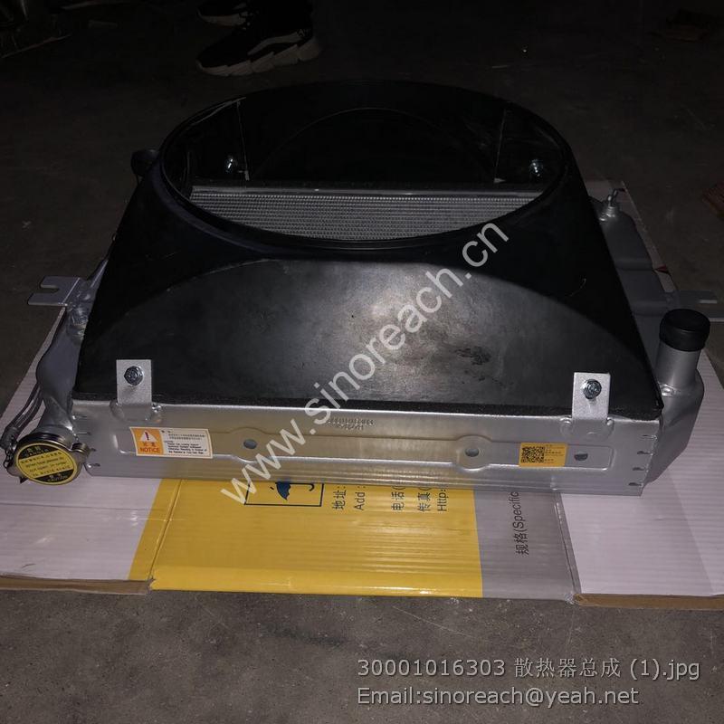 30001016303 散热器总成 (1)