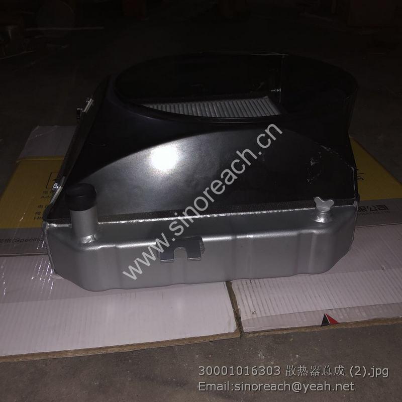 30001016303 散热器总成 (2)