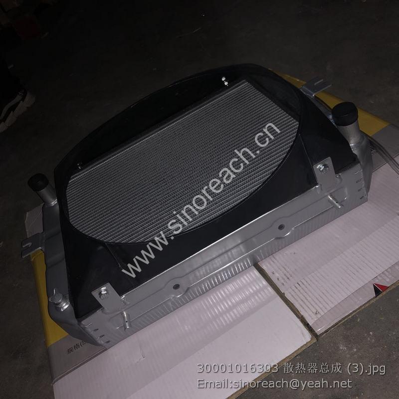 30001016303 散热器总成 (3)