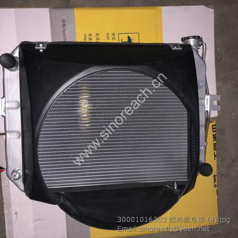 30001016303 散热器总成 (4)