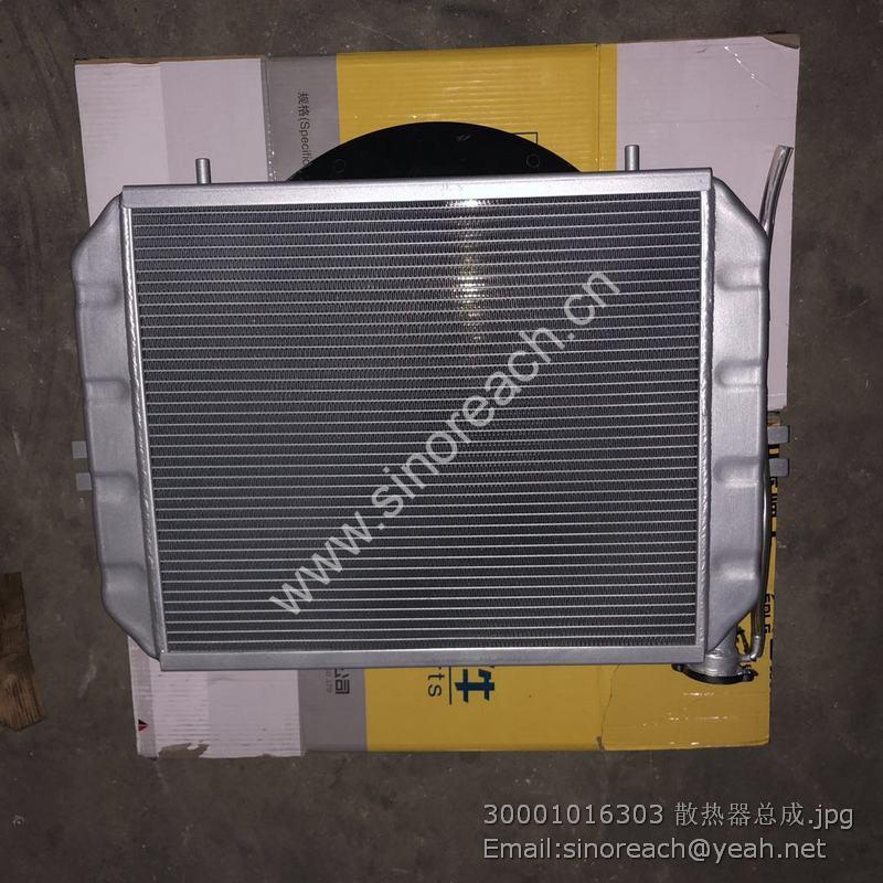 30001016303 散热器总成