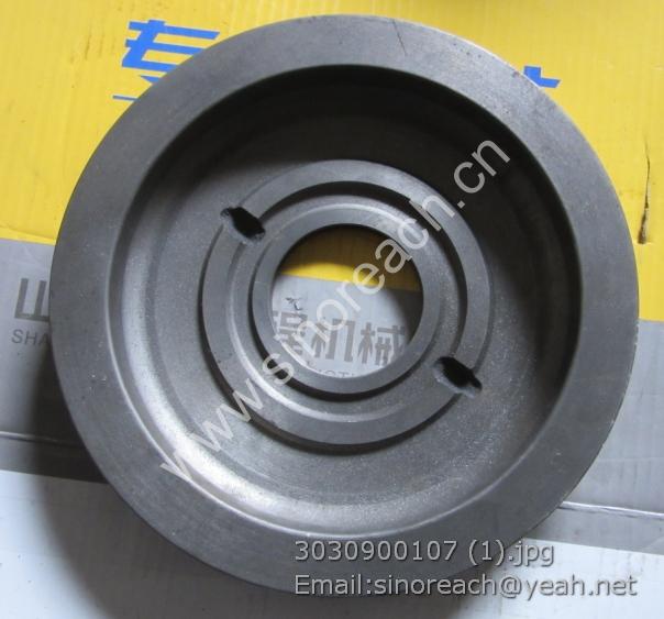 3030900107 (1)