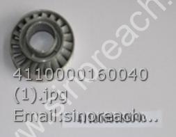 4110000160040 (1)