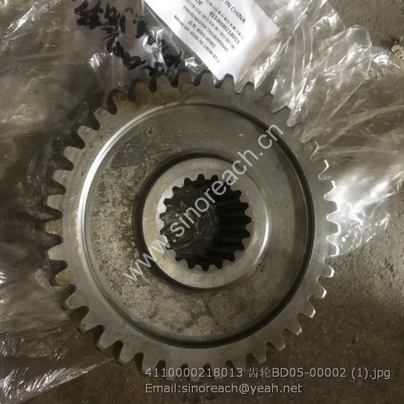 4110000218013 齿轮BD05-00002 (1)