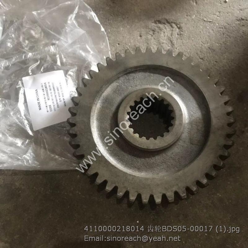 4110000218014 齿轮BDS05-00017 (1)