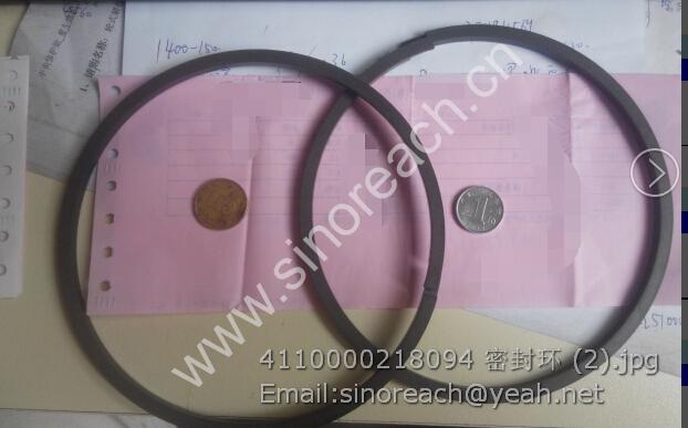 4110000218094 密封环 (2)