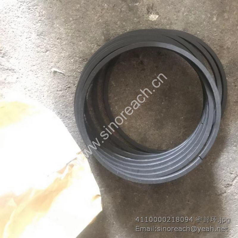 4110000218094 密封环