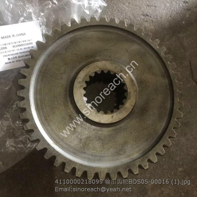 4110000218099 输出齿轮BDS05-00016 (1)