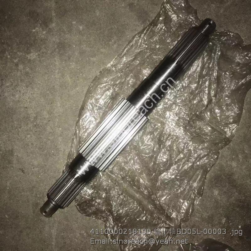 4110000218100 输出轴BD05L-00003