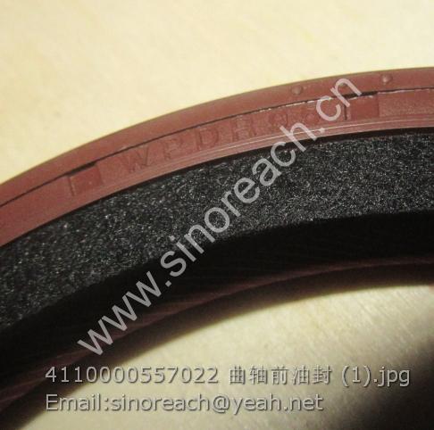 4110000557022 曲轴前油封 (1)