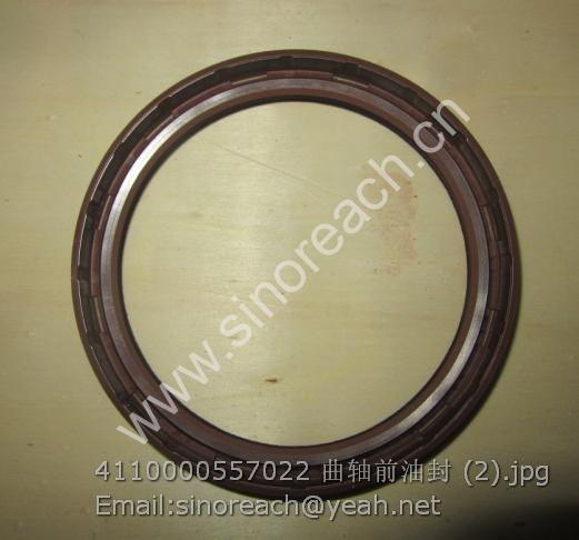 4110000557022 曲轴前油封 (2)