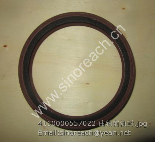 4110000557022 曲轴前油封