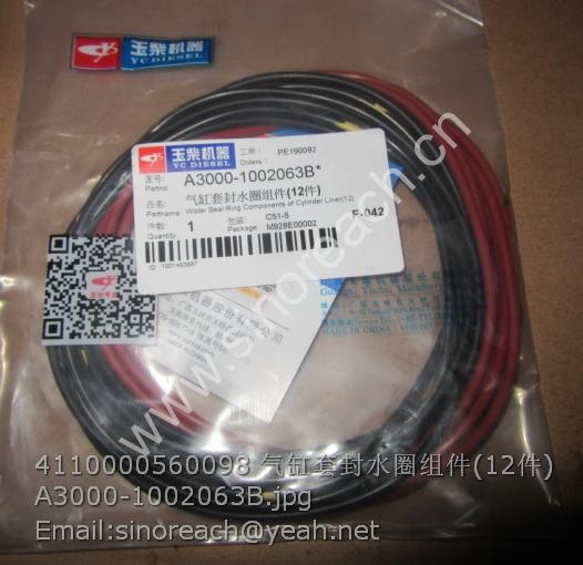 4110000560098 气缸套封水圈组件(12件)A3000-1002063B