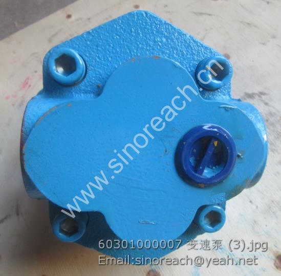 60301000007 变速泵 (3)