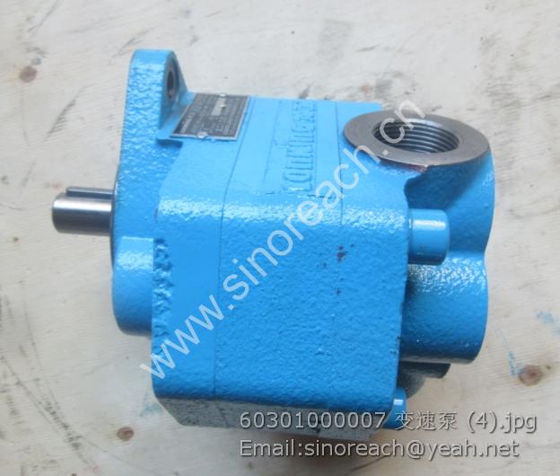 60301000007 变速泵 (4)