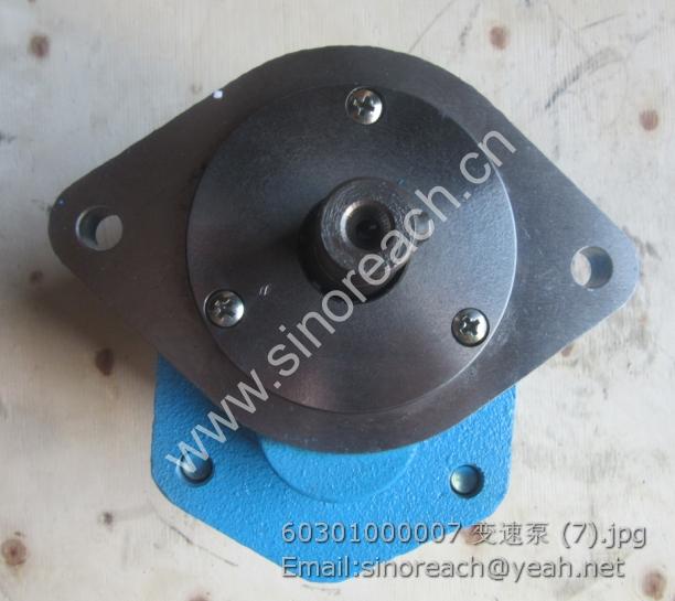 60301000007 变速泵 (7)
