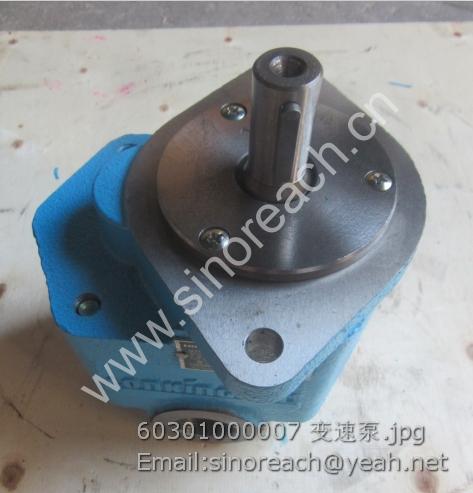 60301000007 变速泵