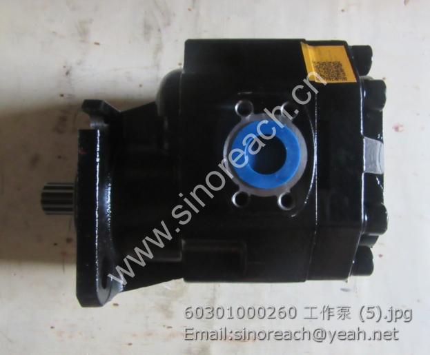 60301000260 工作泵 (5)