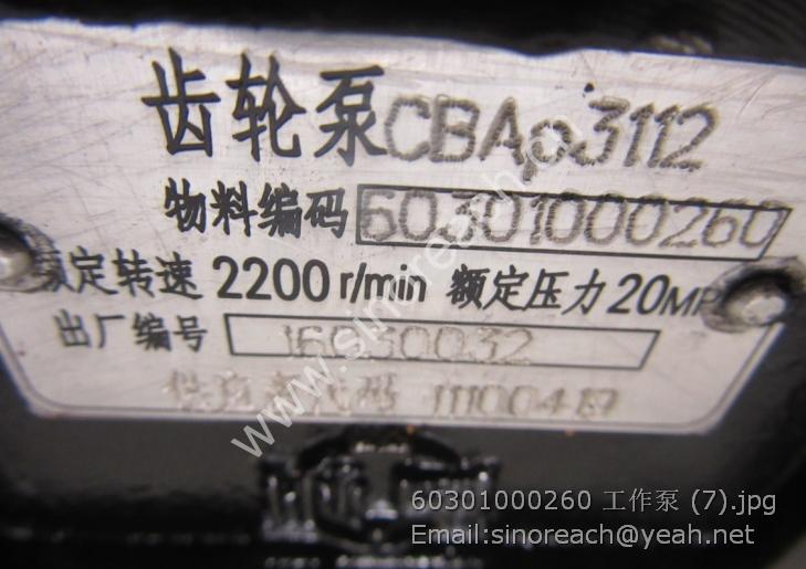 60301000260 工作泵 (7)