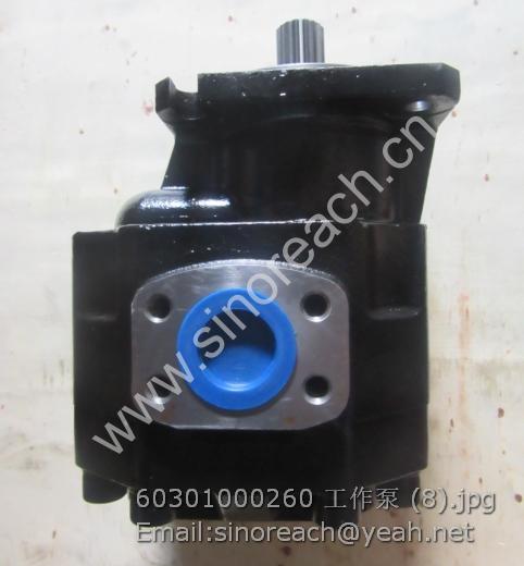 60301000260 工作泵 (8)