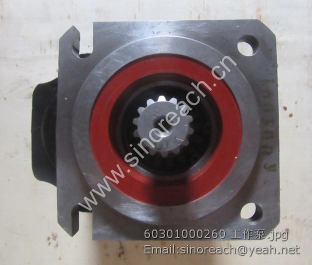 60301000260 工作泵
