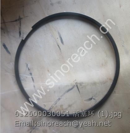 612600030051 活塞环 (1)
