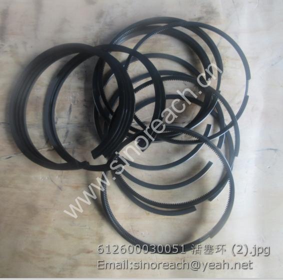 612600030051 活塞环 (2)