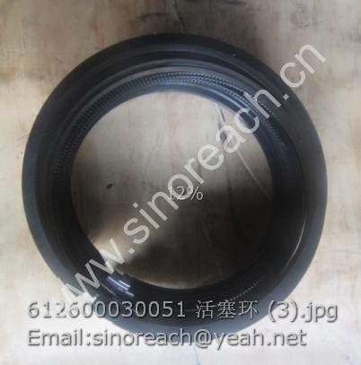 612600030051 活塞环 (3)