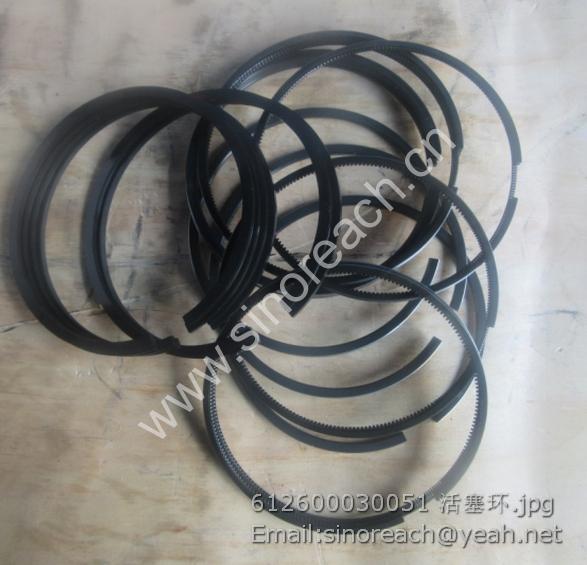 612600030051 活塞环