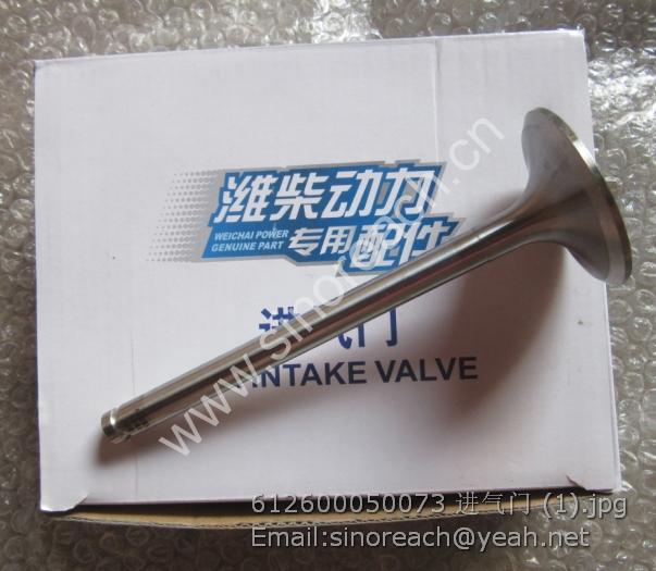 612600050073 进气门 (1)