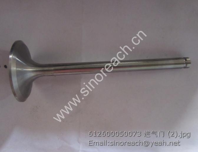 612600050073 进气门 (2)