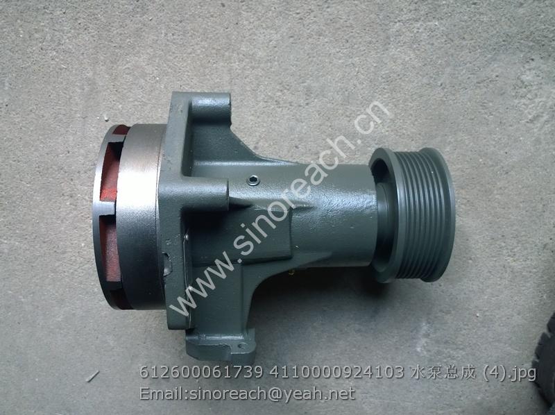 612600061739 4110000924103 水泵总成 (4)