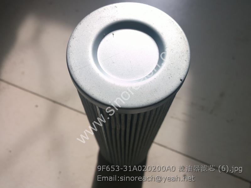 9F653-31A020200A0 滤油器滤芯 (6)
