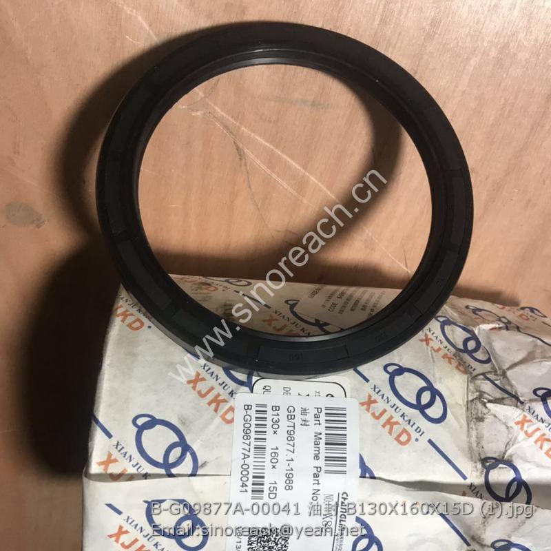 B-G09877A-00041 油封 B130X160X15D (1)