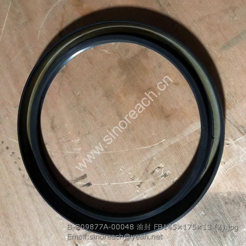 B-G09877A-00048 油封 FB145×175×13 (2)