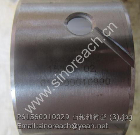 P61560010029 凸轮轴衬套 (3)