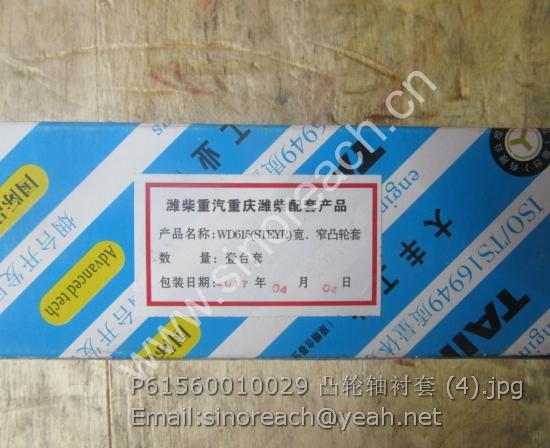 P61560010029 凸轮轴衬套 (4)