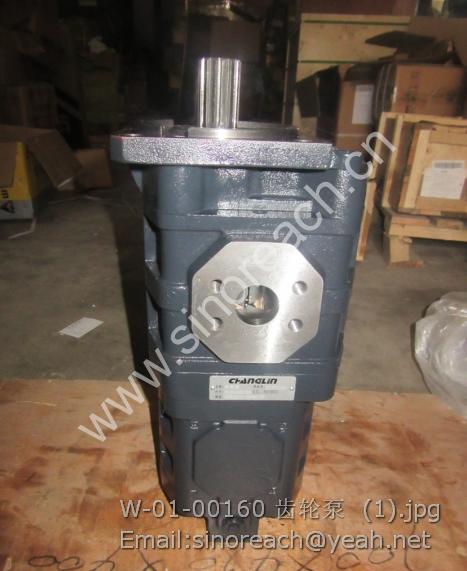 W-01-00160 齿轮泵 (1)