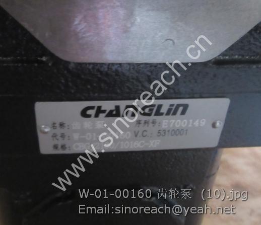 W-01-00160 齿轮泵 (10)