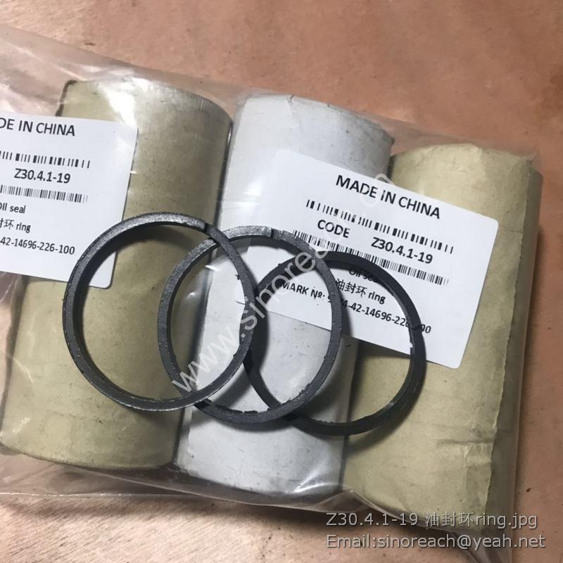 Z30.4.1-19 油封环ring