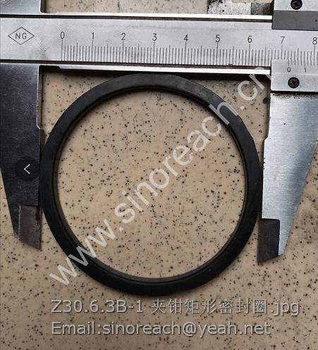 Z30.6.3B-1 夹钳矩形密封圈