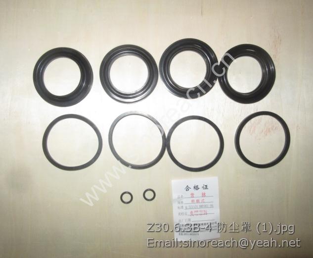 Z30.6.3B-4 防尘罩 (1)